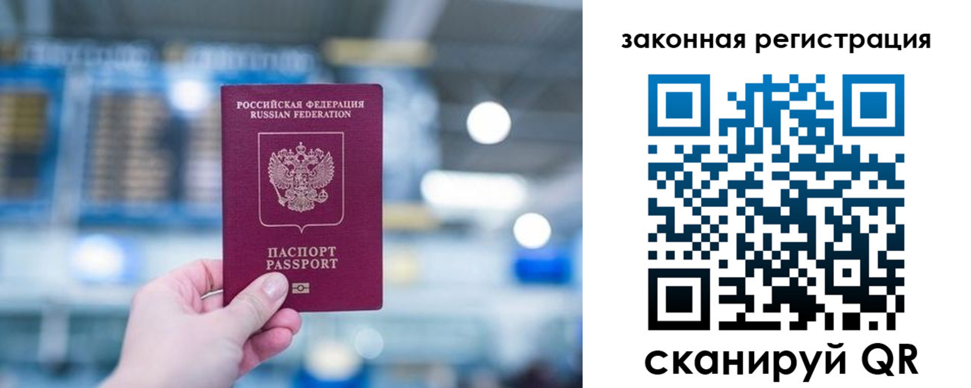 прописка поиск в Вольске